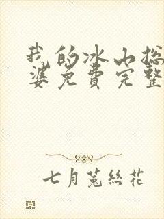 我的冰山总裁老婆免费完整版