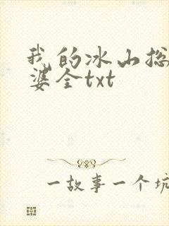 我的冰山总裁老婆全txt