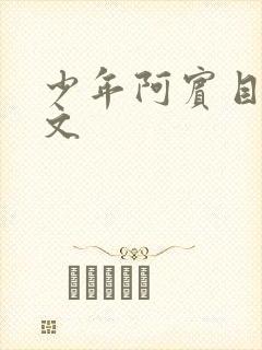 少年阿宾目录全文
