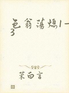 色翁荡熄1—13封面