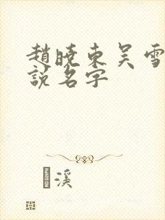 赵晓东吴雪晴小说名字