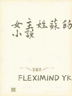 女主姓苏的古代小说封面