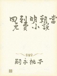 回到明朝当王爷 免费小说