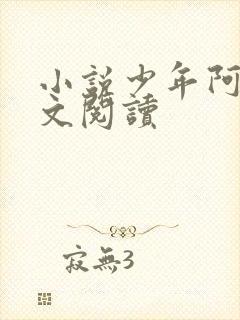 小说少年阿宾全文阅读封面