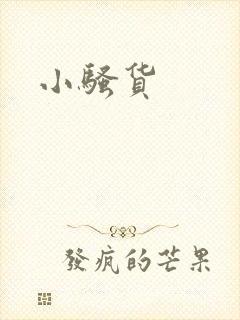 小骚货