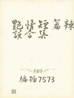 艳情短篇辣文小说合集