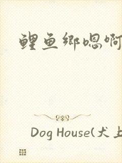 鲤鱼乡嗯啊