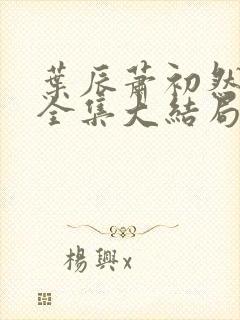 叶辰萧初然小说全集大结局怎么样封面