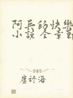 阿兵的快乐生活小说 全章节阅读免费