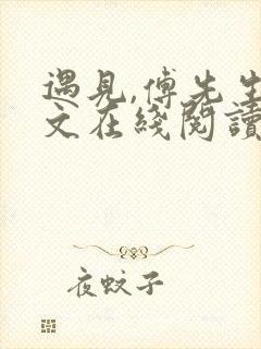 遇见,傅先生全文在线阅读