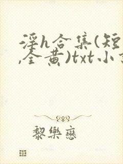淫h合集(短篇,全黄)txt小说