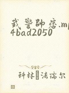 武警帅痞.mp4bad2050