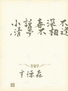 小说春深不归客,清梦不相逢免费阅读