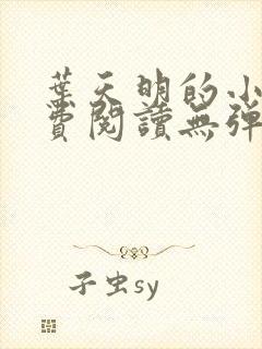 叶天明的小说免费阅读无弹窗