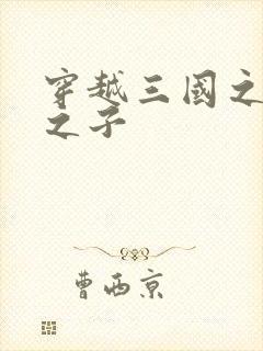 穿越三国之袁绍之子封面