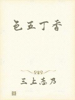 色五丁香封面