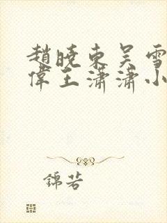 赵晓东吴雪晴郑伟王潇潇小说