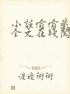 小说偷偷藏不住全文在线阅读