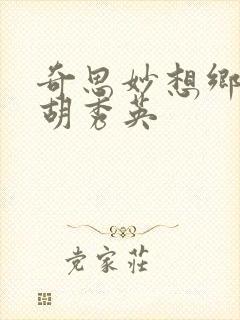 奇思妙想乡村情胡秀英封面