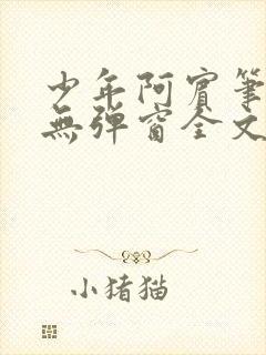 少年阿宾笔趣阁无弹窗全文免费阅读