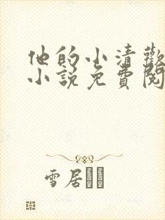 他的小清欢全网小说免费阅读