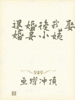 退婚后我娶了未婚妻小姨封面