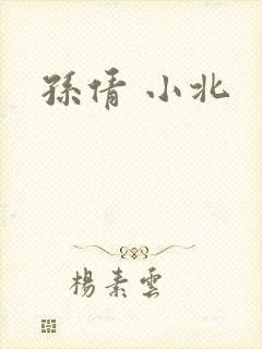孙倩 小北封面