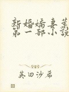 新婚娇妻叶筱雨第一部小说叫什么