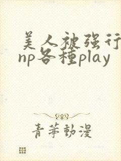 美人被强行糟蹋np各种play