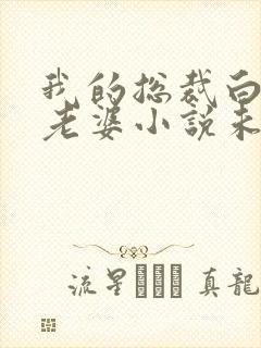 我的总裁白富美老婆小说未删减在线看