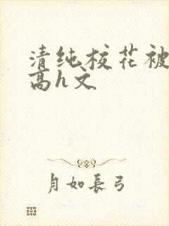 清纯校花被调教高h文