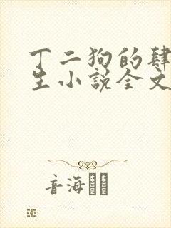 丁二狗的肆意人生小说全文免费阅读笔趣阁封面