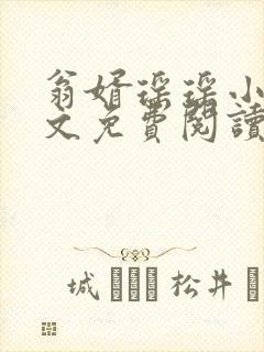翁婿瑶瑶小说全文免费阅读最新章节封面