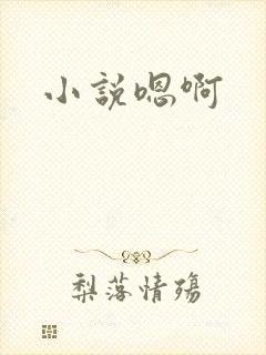 小说嗯啊