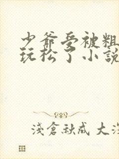 少爷受被粗汉H玩松了小说