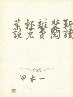 叶轻离裴靳墨小说免费阅读无弹窗