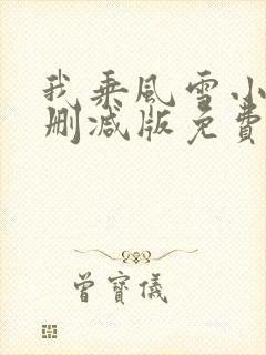 我乘风雪小说无删减版免费阅读封面