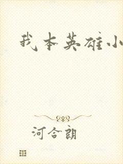 我本英雄小说封面
