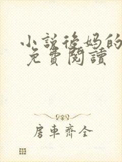 小说后妈的春天 免费阅读