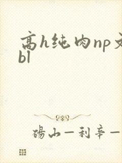 高h纯肉np文bl