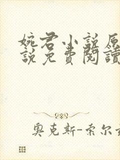 婉君小说原著小说免费阅读封面