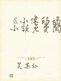 《小伟的妈妈》小说免费阅读