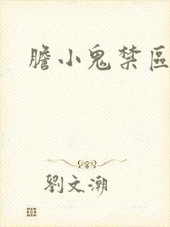 胆小鬼禁区