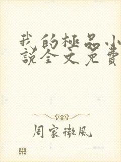 我的极品小姨小说全文免费阅读