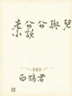 老公公与儿媳妇小说