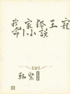 我家狐王宠妻如命l小说