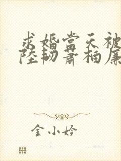 求婚当天被情敌陆韧萧柏廉小说免费阅读全文