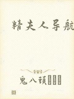 精夫人导航封面