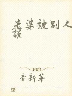 老婆被别人干小说