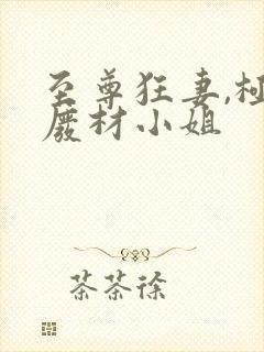 至尊狂妻,极品废材小姐